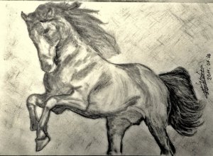 Hiába akarom,lovat nehéz rajzolni!